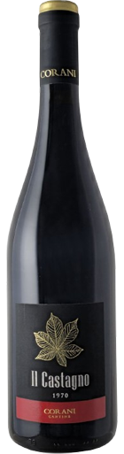 Il-Castagno-2023-Vini-Corani-140-513 Il Castagno Vini Corani